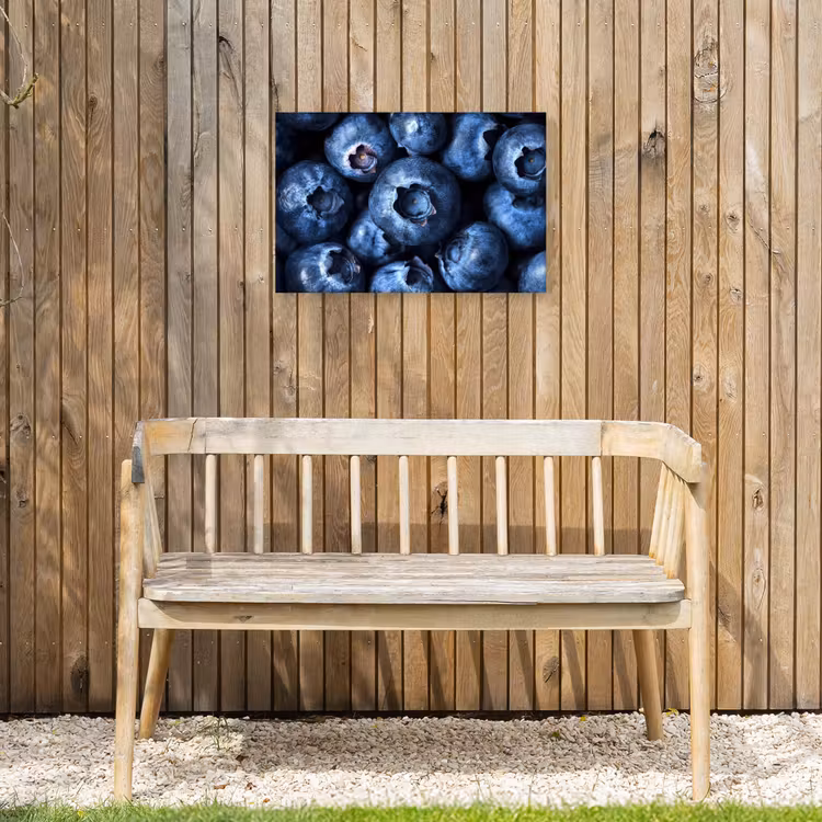 Buiten canvas - Bessen - Blauw - Fruit — 3
