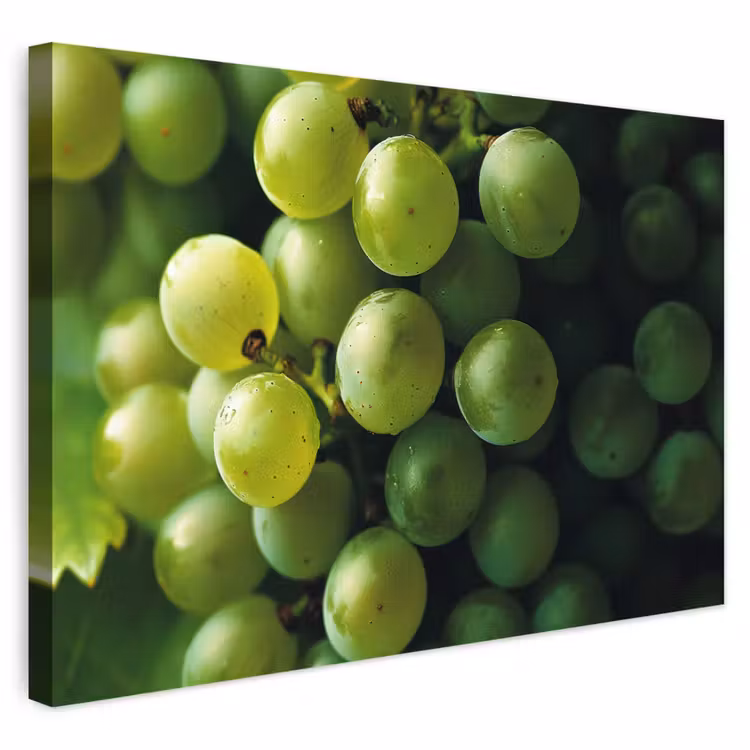 Buiten canvas - Druiven - Tros - Groen — 1