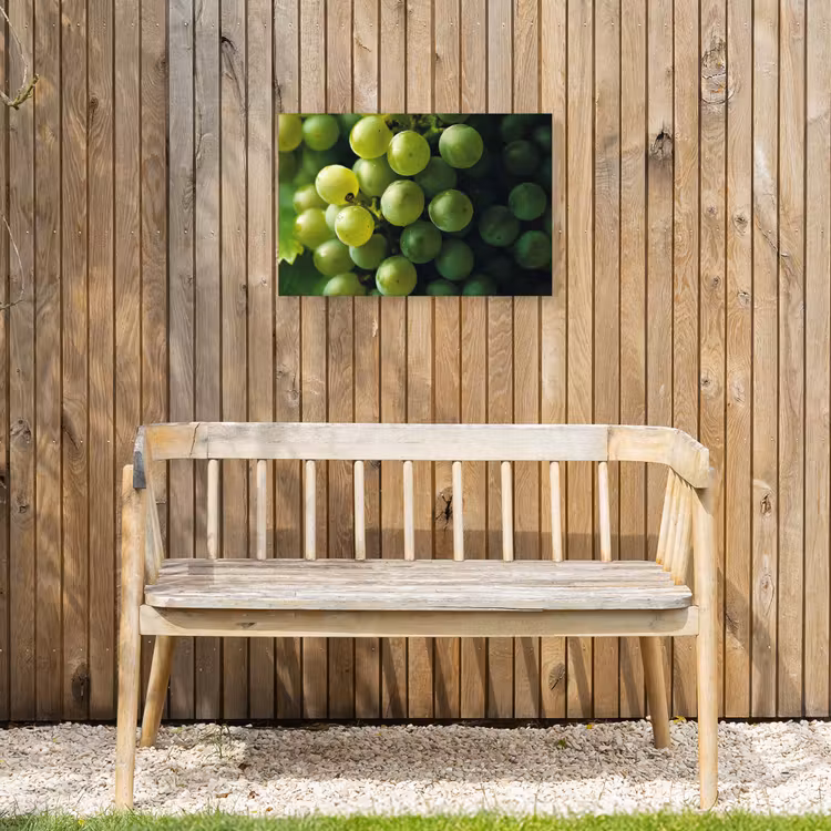 Buiten canvas - Druiven - Tros - Groen — 3