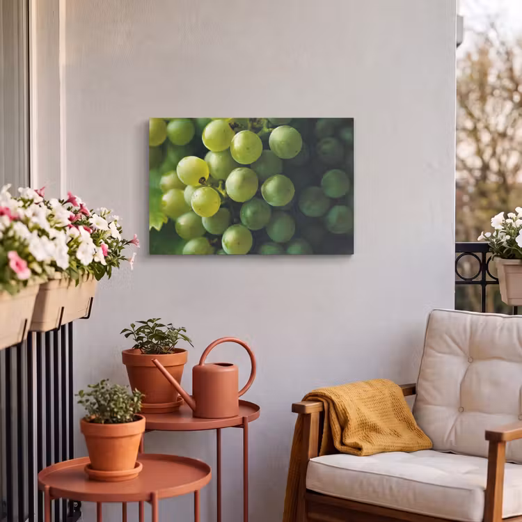 Buiten canvas - Druiven - Tros - Groen — 4