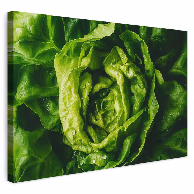 Buiten canvas - Groente - Sla - Groen — 1