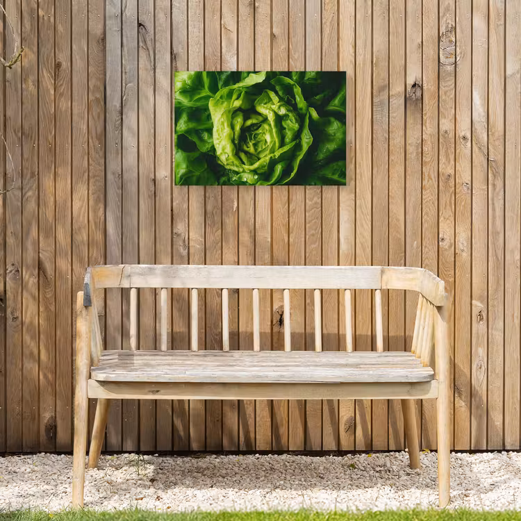 Buiten canvas - Groente - Sla - Groen — 3