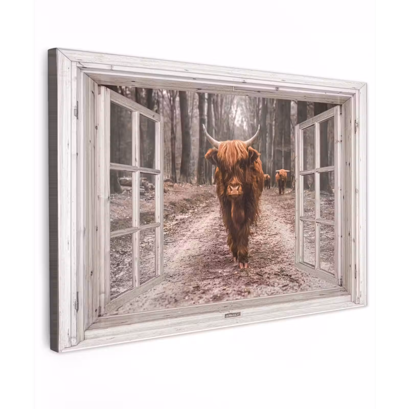 Buiten canvas - Hooglander door het Raam — 1
