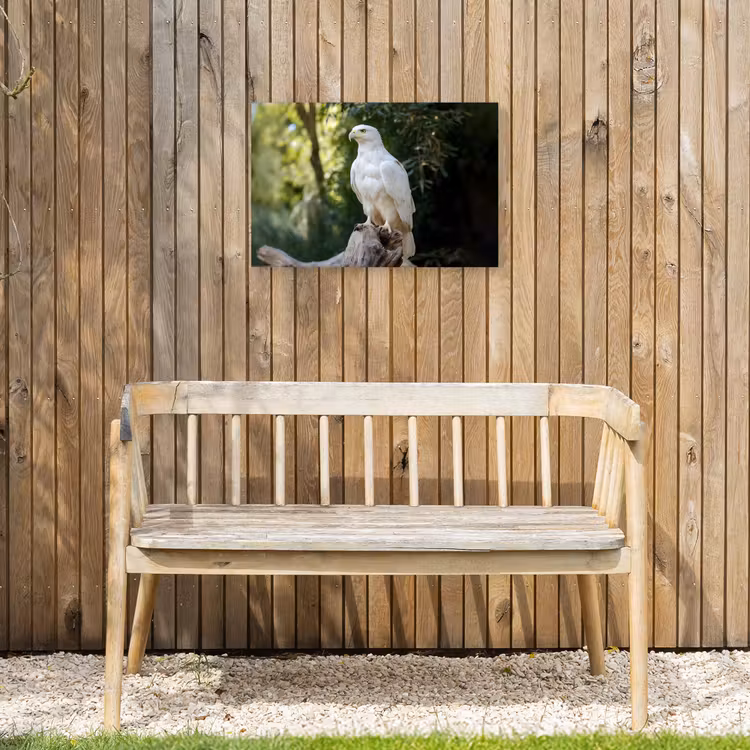Buiten canvas - Arend - Hout - Wit - Planten — 3