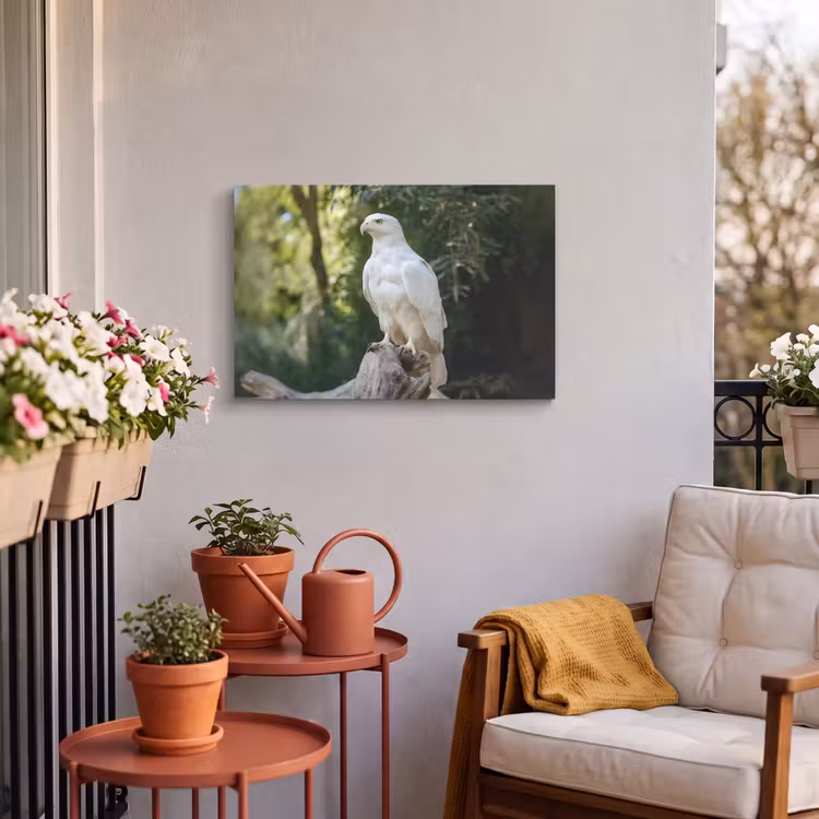 Buiten canvas - Arend - Hout - Wit - Planten — 4