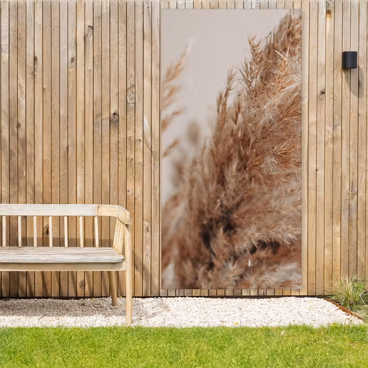 Buiten canvas - Gedroogd pampasgras dichtbij — 3