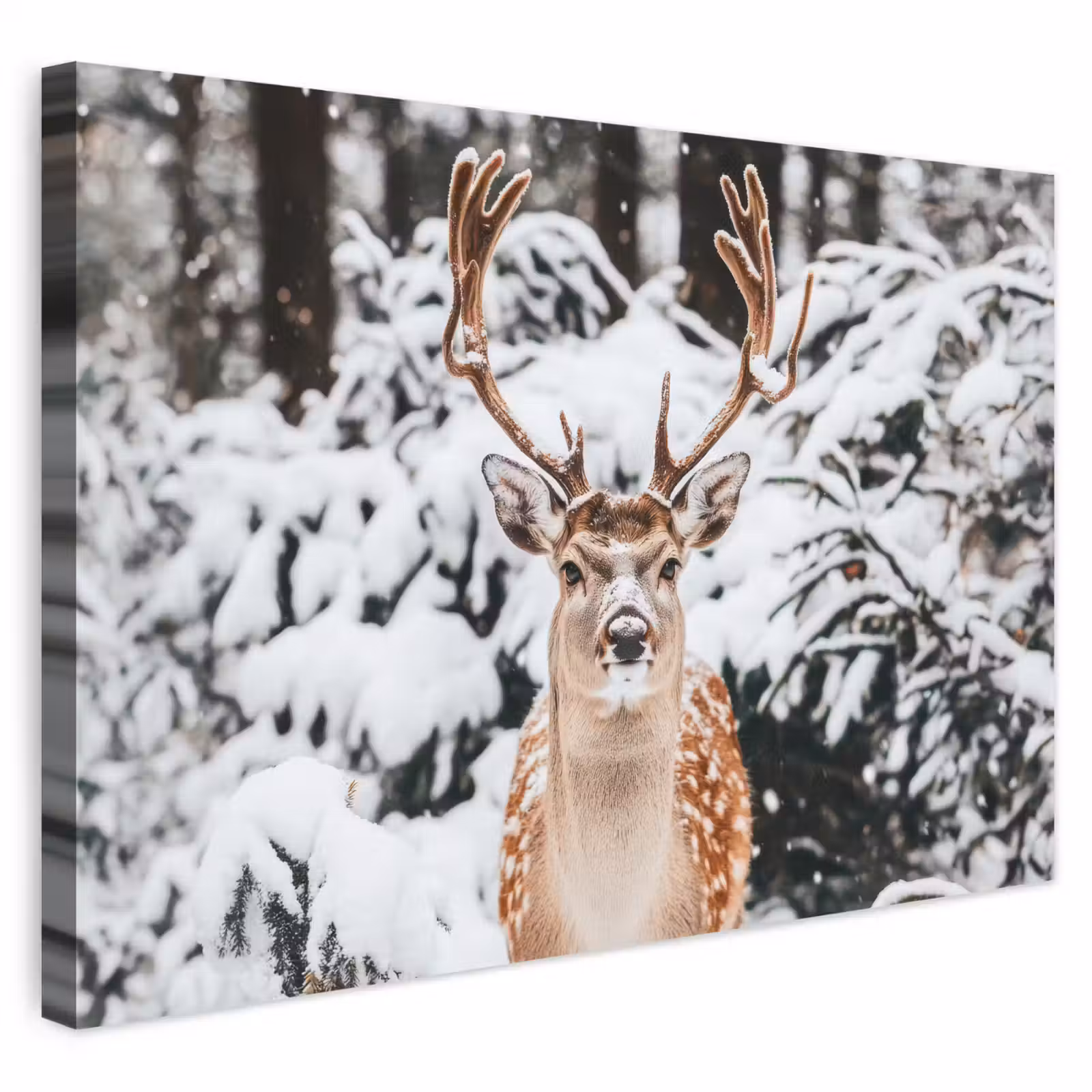 Buiten canvas - Hert - Sneeuw - Winter - Bos - Dieren — 1