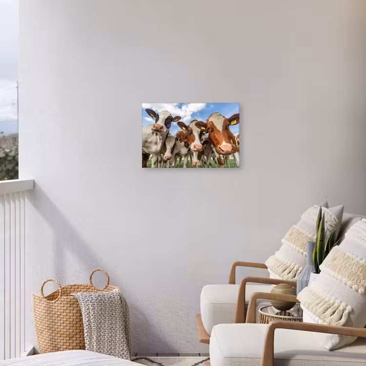 Buiten canvas - Bruin-witte koeien in de wei — 4
