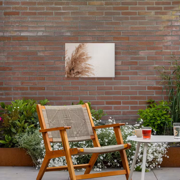 Buiten canvas - Gedroogd pampasgras tegen een neutrale achtergrond — 2