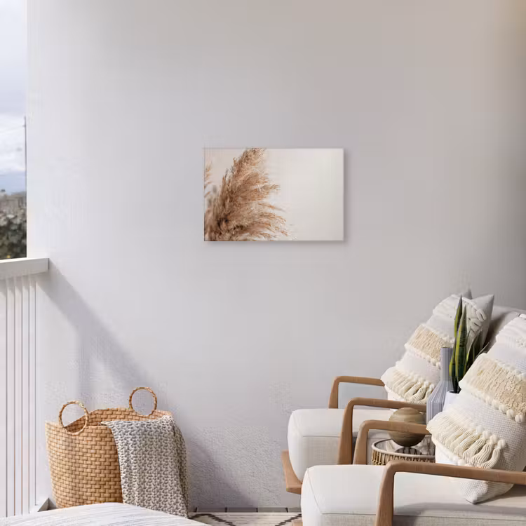 Buiten canvas - Gedroogd pampasgras tegen een neutrale achtergrond — 4