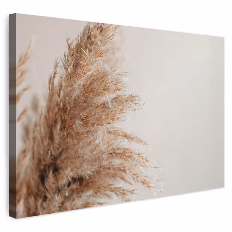 Buiten canvas - Gras - Planten - Natuur - Pampasgras — 1