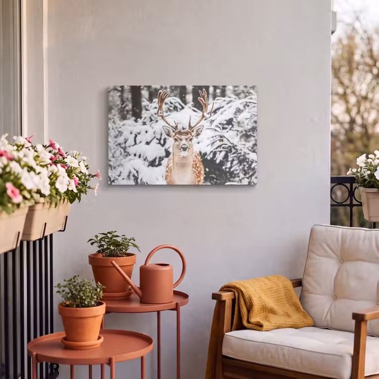 Buiten canvas - Hert - Sneeuw - Winter - Bos - Dieren — 4