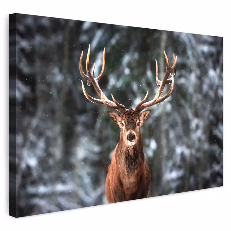 Buiten canvas - Hert - Winter - Sneeuw - Bos - Natuur - Dier — 1