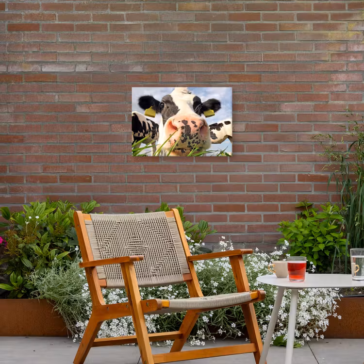 Buiten canvas - Koe - Boerderij - Gras - Dieren — 2