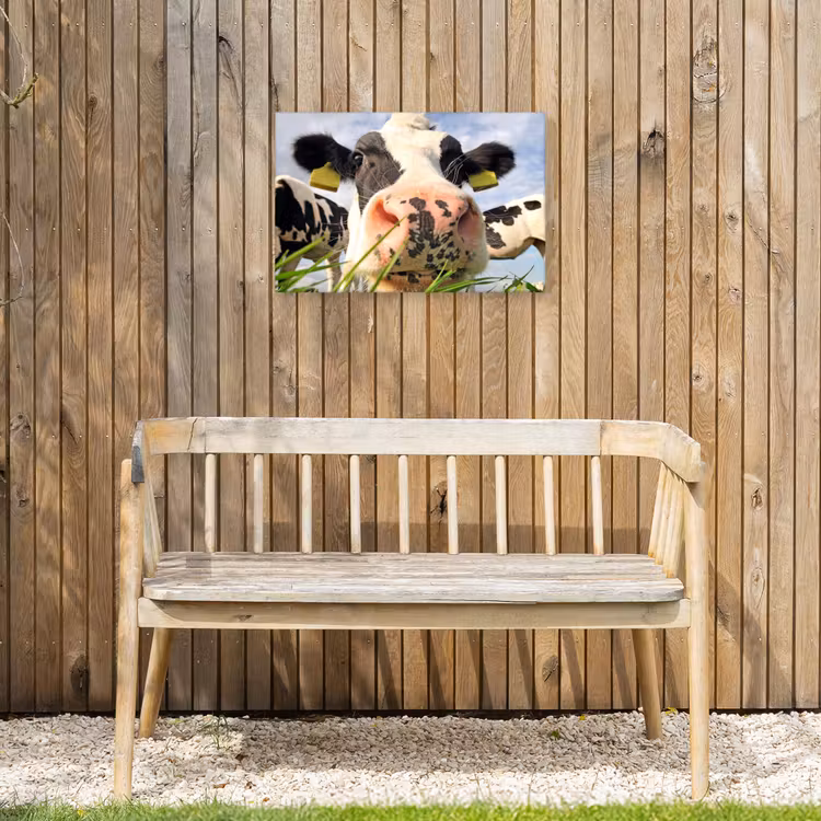 Buiten canvas - Koe - Boerderij - Gras - Dieren — 3