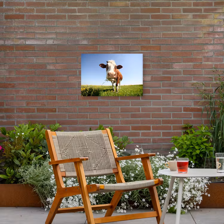 Buiten canvas - Koe - Dieren - Bloemen - Gras — 2