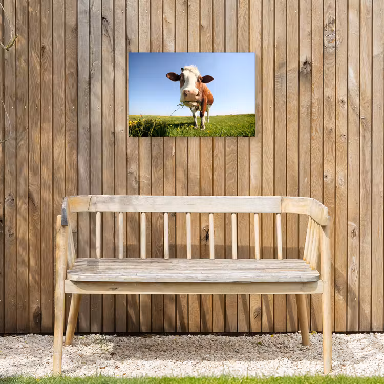 Buiten canvas - Koe - Dieren - Bloemen - Gras — 3