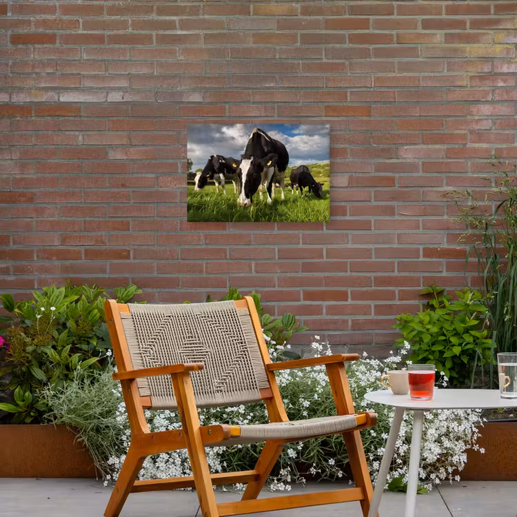 Buiten canvas - Koeien - Dieren - Gras - Weiland - Boerderij — 2