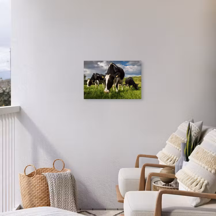 Buiten canvas - Koeien - Dieren - Gras - Weiland - Boerderij — 4