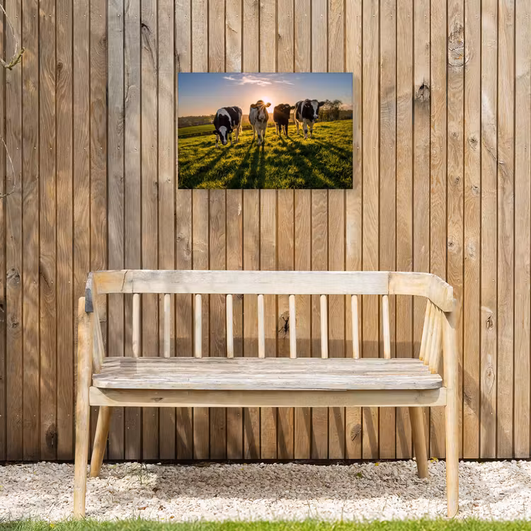 Buiten canvas - Koeien in de ochtendzon — 3