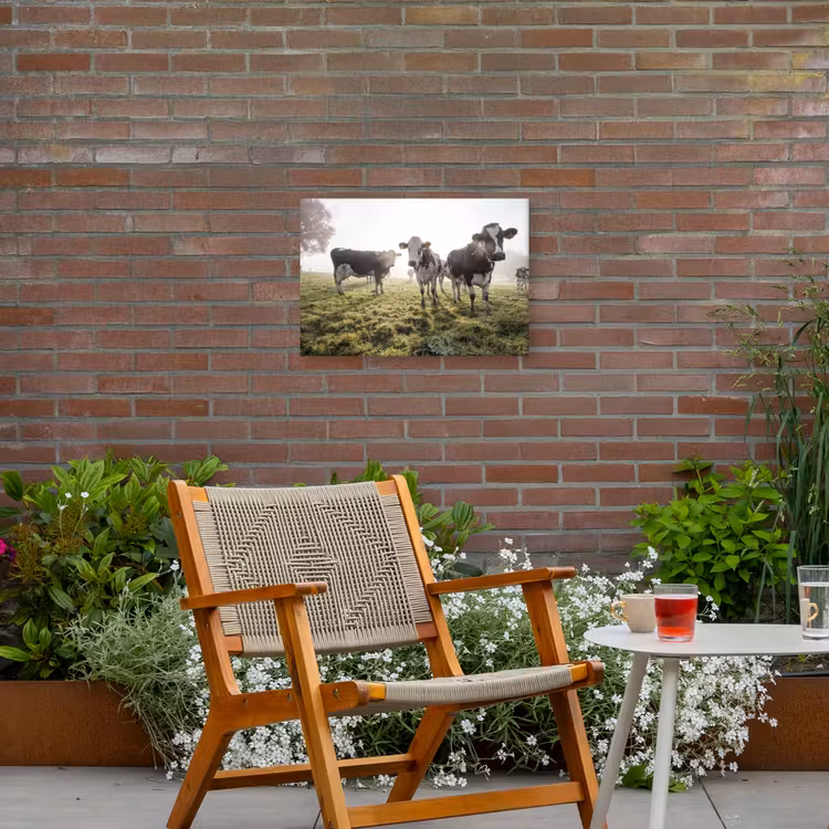 Buiten canvas - Koeien - Licht - Gras - Dieren — 2