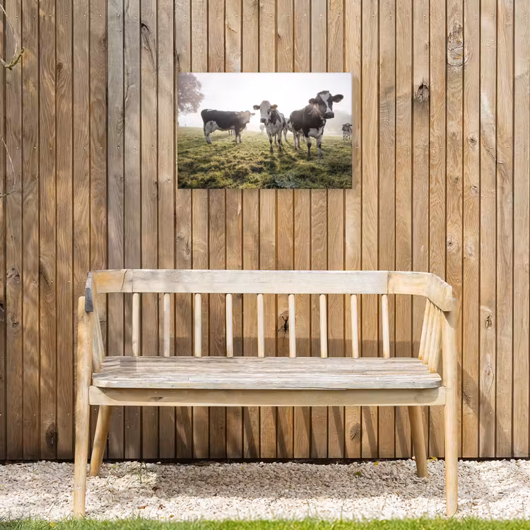 Buiten canvas - Koeien - Licht - Gras - Dieren — 3