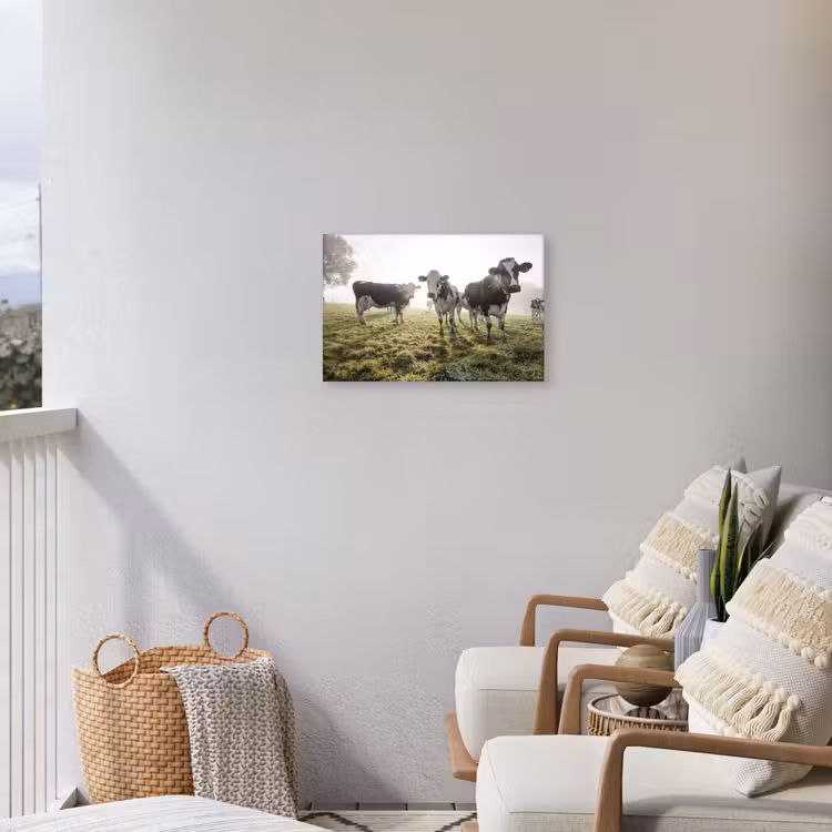 Buiten canvas - Koeien - Licht - Gras - Dieren — 4