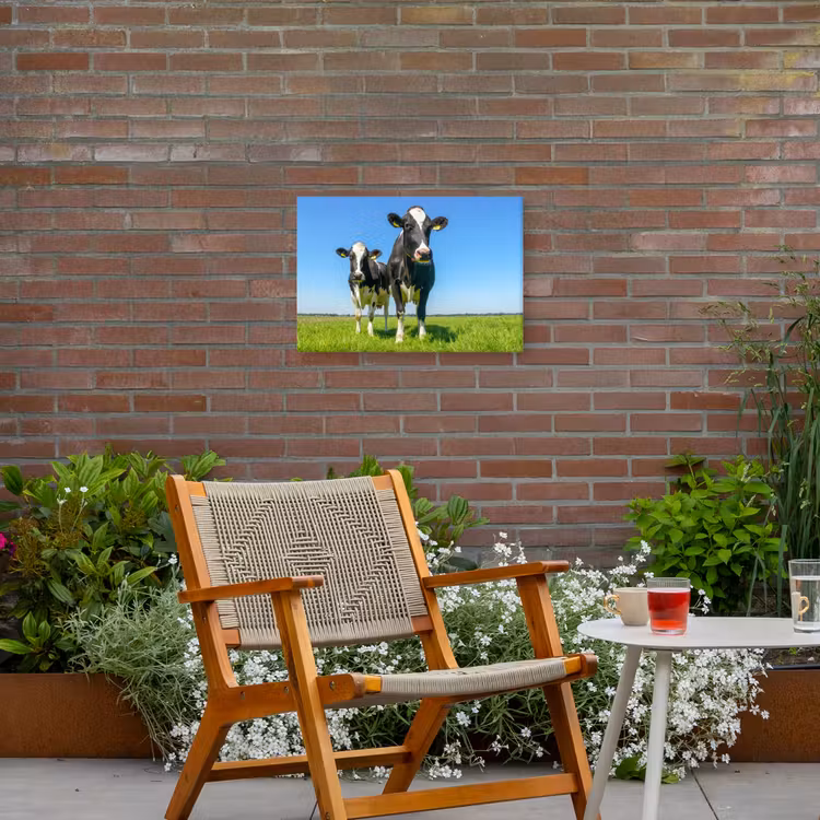 Buiten canvas - Koeien - Weiland - Gras - Dieren - Boerderij — 2