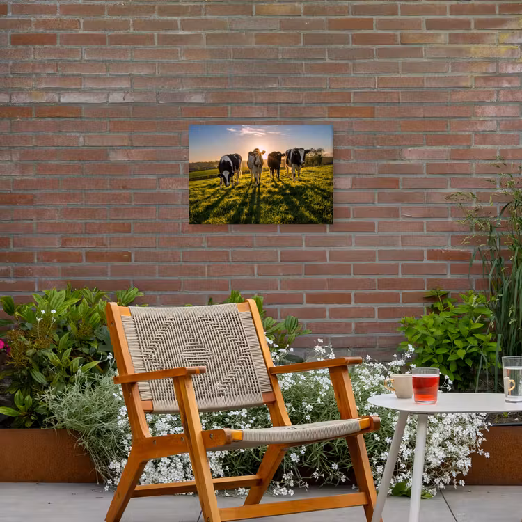 Buiten canvas - Koeien - Zon - Gras - Dieren - Boerderij — 2