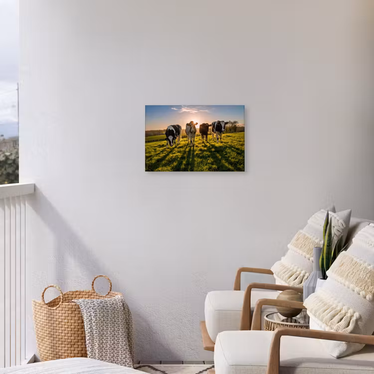 Buiten canvas - Koeien - Zon - Gras - Dieren - Boerderij — 4