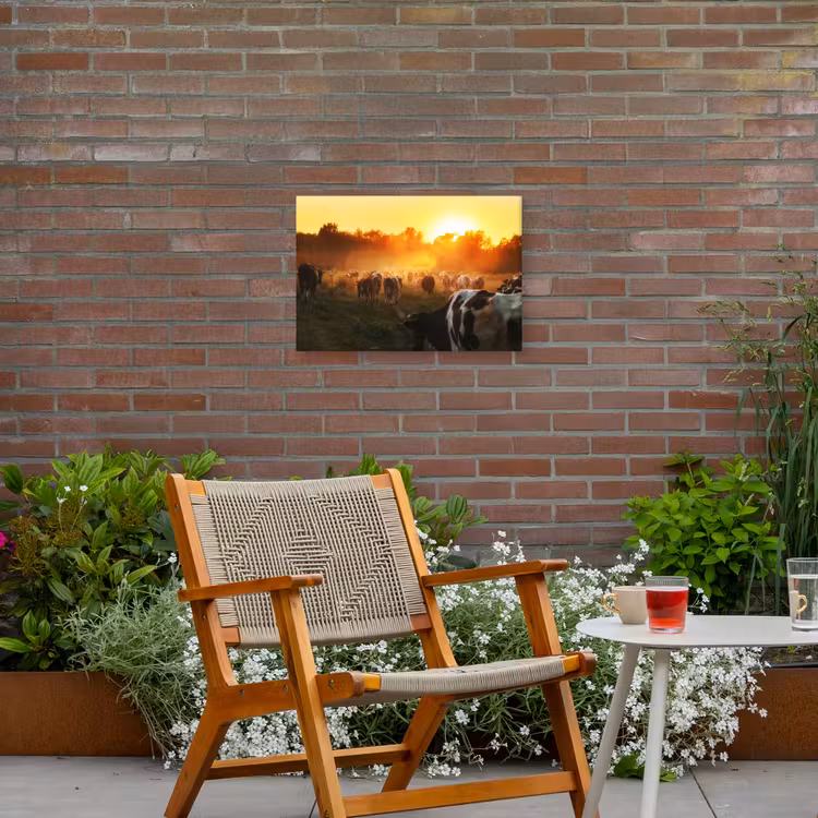 Buiten canvas - Koeien - Zonsondergang - Weiland - Dieren — 2