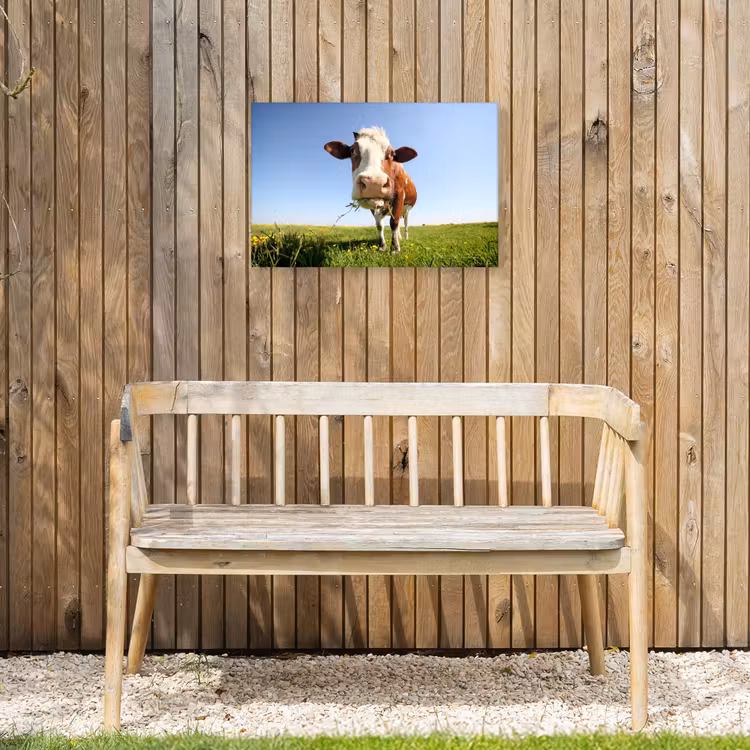 Buiten canvas - Koe in de Weide — 3