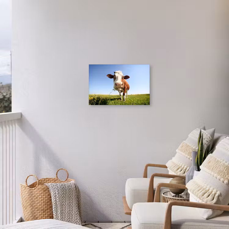 Buiten canvas - Koe in de Weide — 4