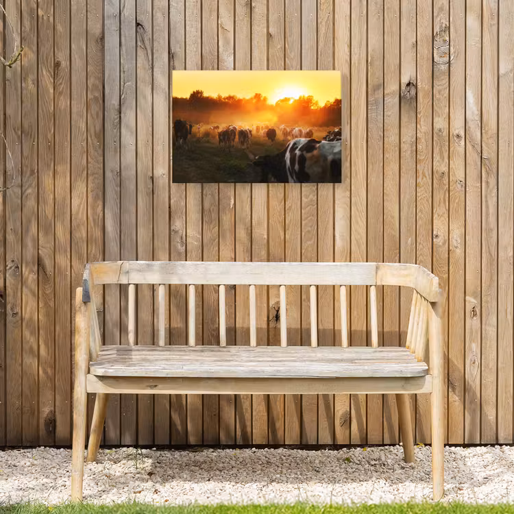 Buiten canvas - Koeien bij Zonsondergang — 3