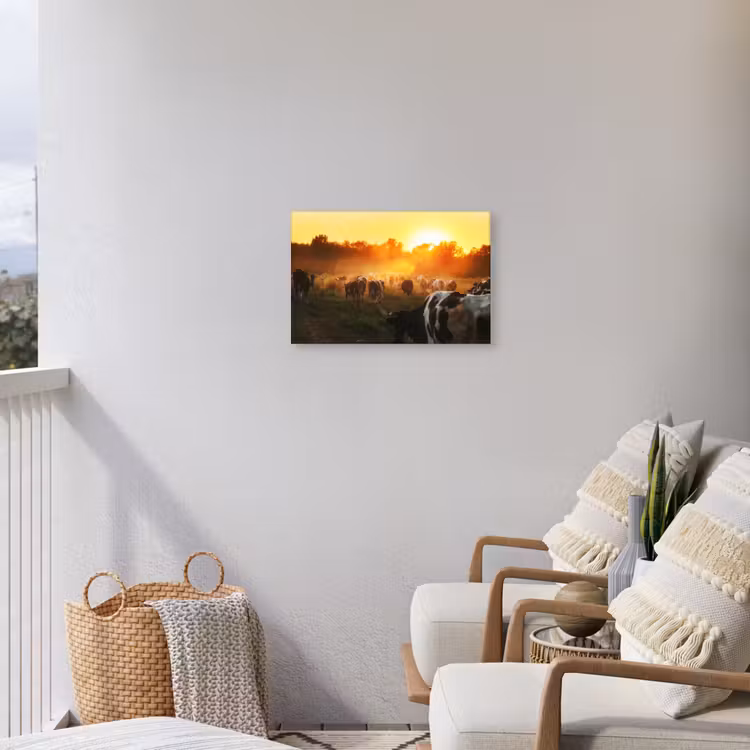 Buiten canvas - Koeien bij Zonsondergang — 4