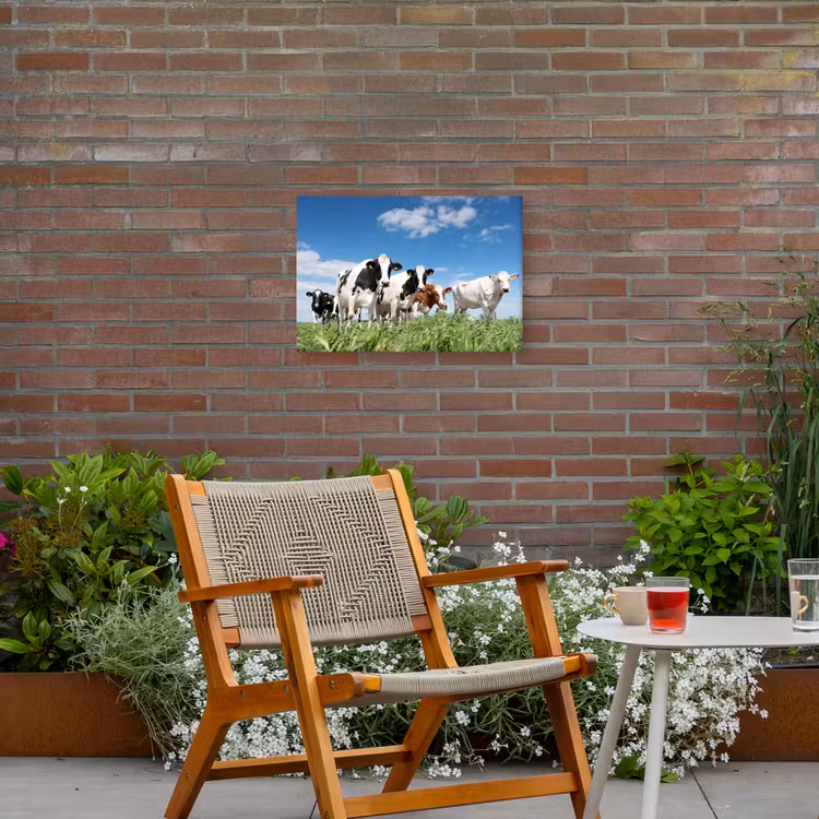 Buiten canvas - Koeien in de weide — 2