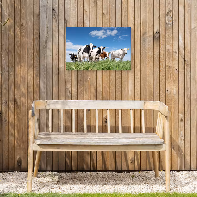 Buiten canvas - Koeien in de weide — 3