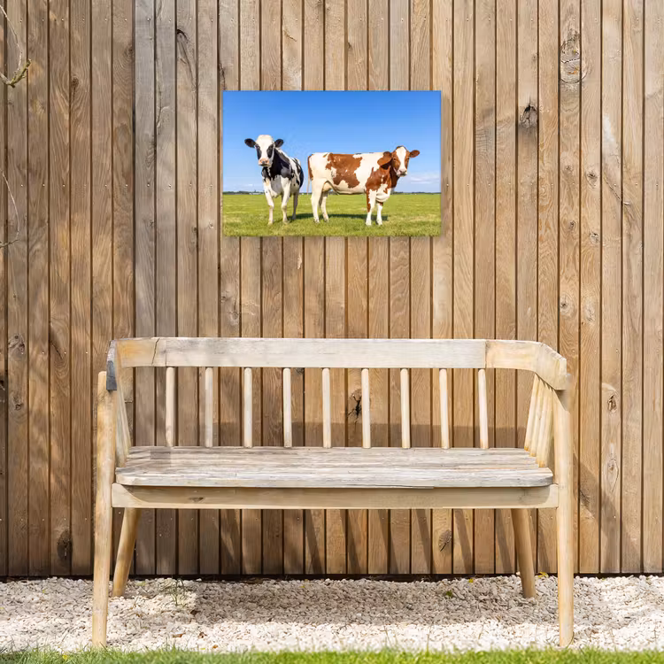 Buiten canvas - Koeien in de Weide — 3