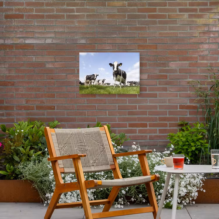 Buiten canvas - Koeien in de weide onder een heldere lucht — 2