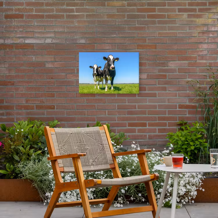 Buiten canvas - Koeien op een zonnige dag in de wei — 2