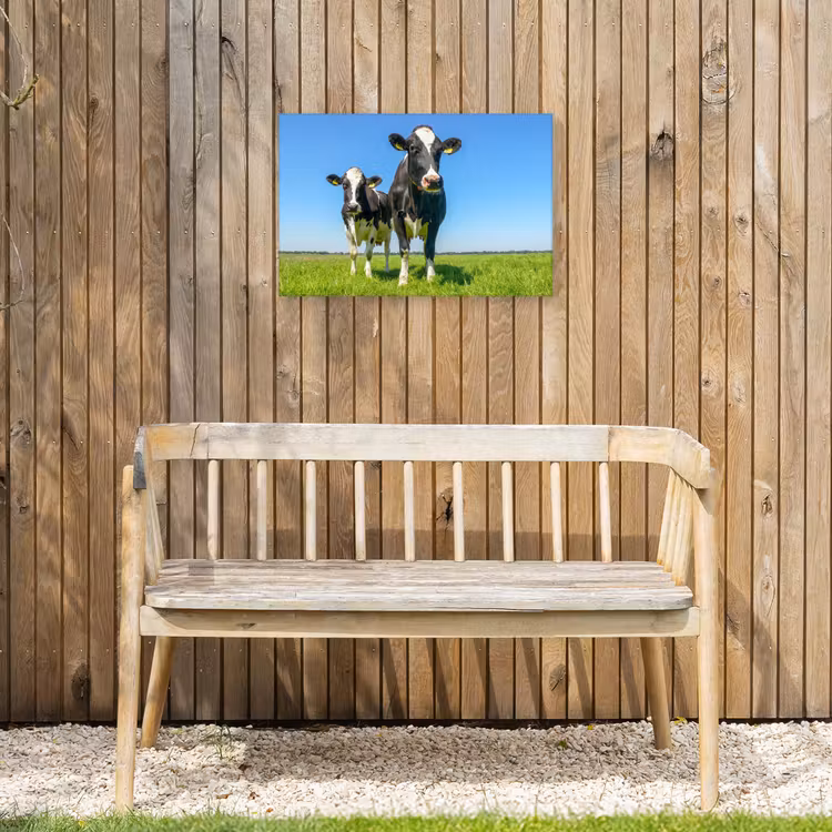 Buiten canvas - Koeien op een zonnige dag in de wei — 3