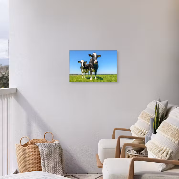 Buiten canvas - Koeien op een zonnige dag in de wei — 4