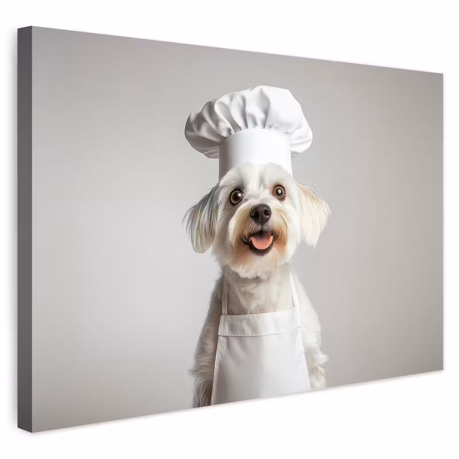 Buiten canvas - Hond - Wit - Kok — 1