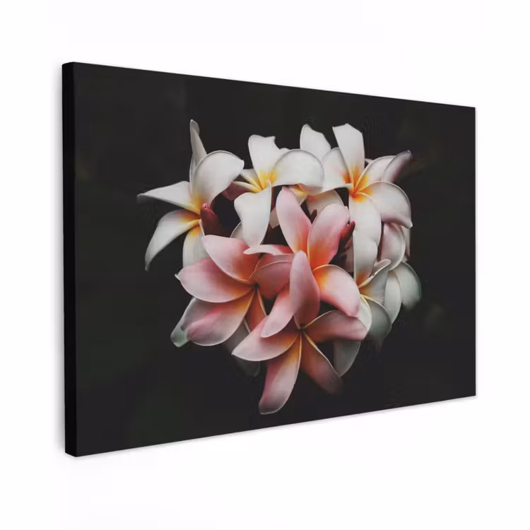 Buiten canvas - Bloemen - Roze - Zwart - Flora - Botanisch — 1