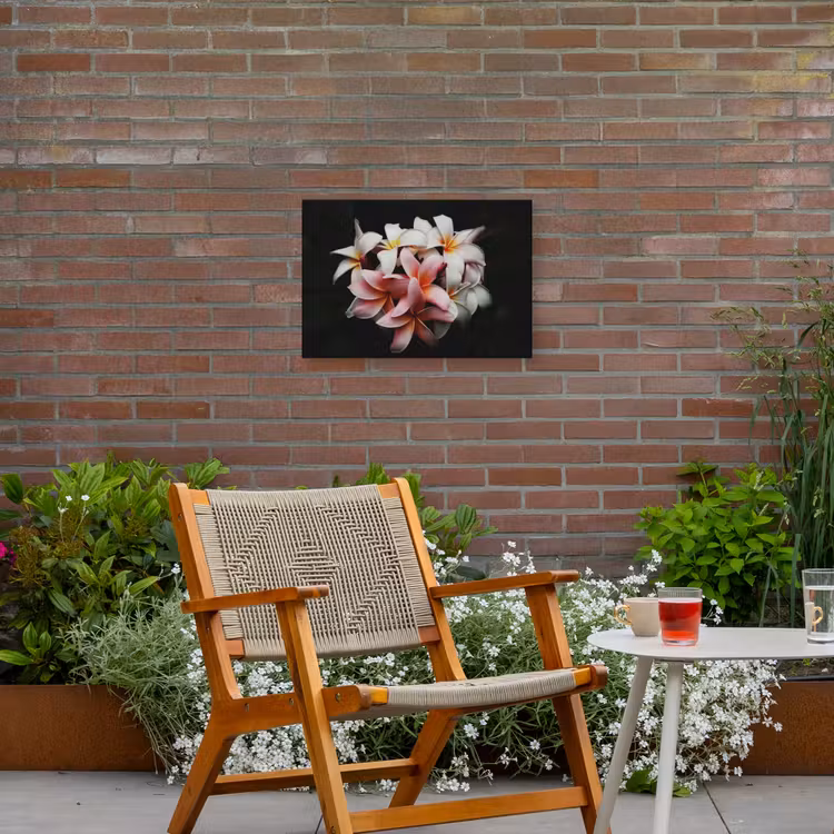 Buiten canvas - Bloemen - Roze - Zwart - Flora - Botanisch — 2