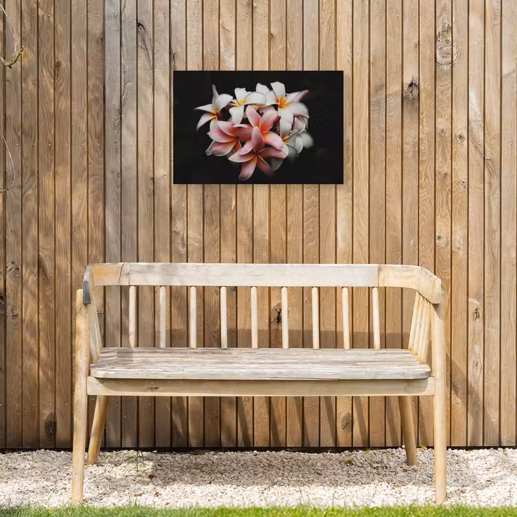 Buiten canvas - Bloemen - Roze - Zwart - Flora - Botanisch — 3