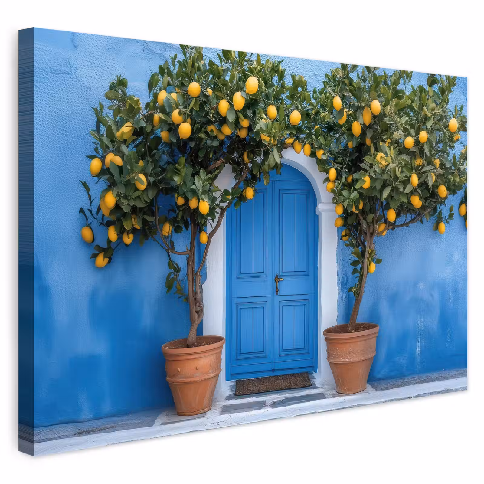 Buiten canvas - Citroenbomen - Geel - Deur - Potten — 1