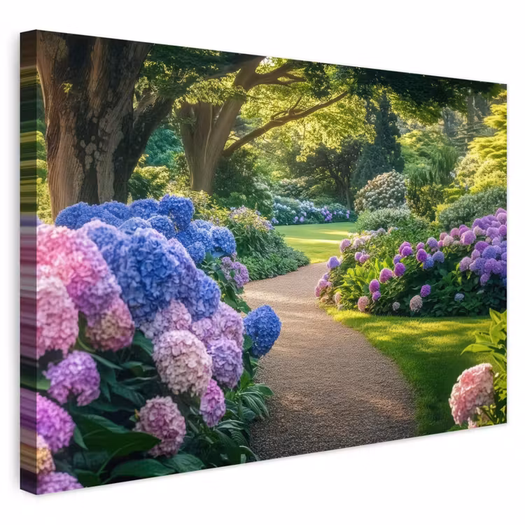 Buiten canvas - Hortensia- Park - Pad — 1