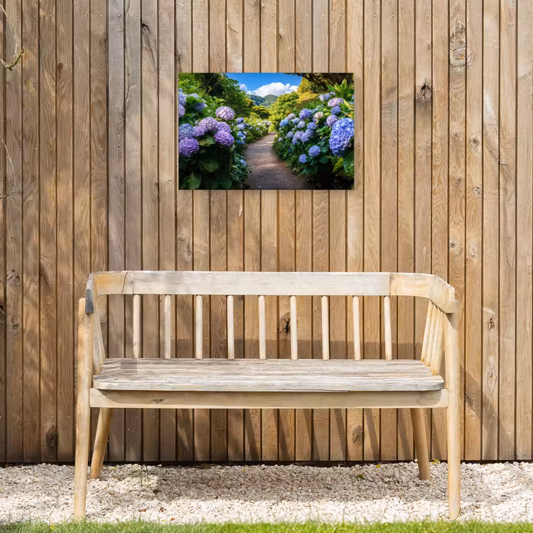 Buiten canvas - Hortsensia - Pad - Bloemen — 3