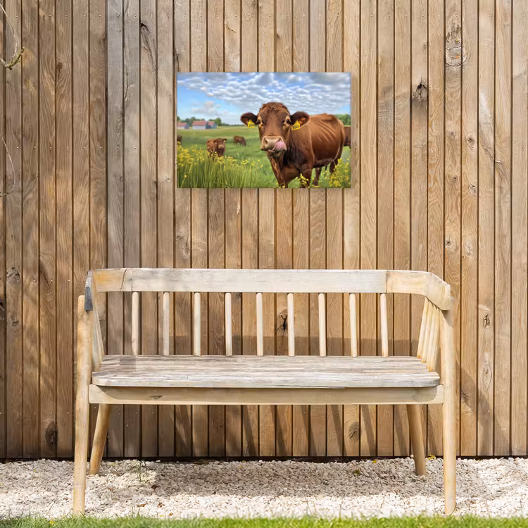 Buiten canvas - Koe - Weide - Bloemen — 3